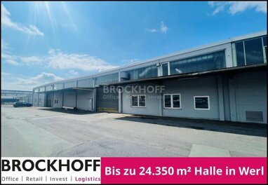 Halle/Industriefläche zur Miete 24.350 m² Lagerfläche teilbar ab 5.000 m² Budberg Werl 59457