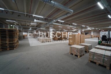 Lagerhalle zur Miete 2.714,8 m² Lagerfläche teilbar ab 2.714,8 m² Gievenbeck Münster 48159