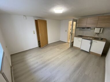 Wohnung zur Miete 260 € 1 Zimmer 18 m² Erdgeschoss frei ab sofort Genovevastraße 2 Pfalzel 2 Trier 54293