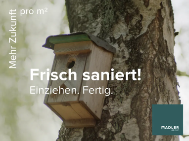 Wohnung zur Miete 343 € 2 Zimmer 52,7 m² 1. Geschoss frei ab sofort Hochfelder Straße 53 Hochemmerich Duisburg 47226