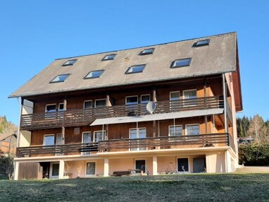 Mehrfamilienhaus zum Kauf Provisionsfrei 990.000 € 18 Zimmer 1.900 m² Grundstück Falkau Feldberg 79868