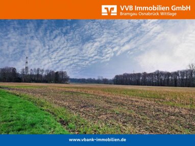 Land-/Forstwirtschaft zum Kauf 872.000 € 81.037 m² Grundstück Bramsche - Kernstadt Bramsche 49565