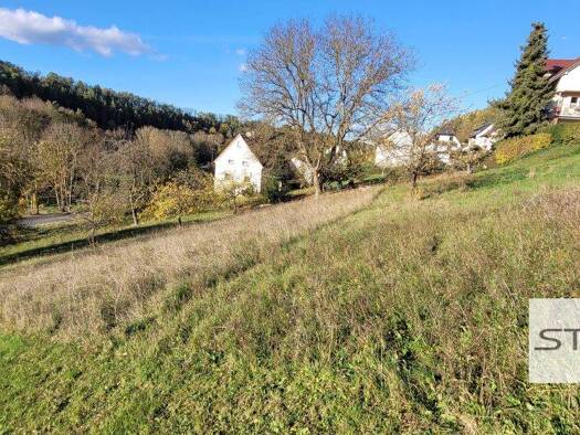 Grundstück zum Kauf 69.000 € 1.302 m² Grundstück frei ab sofort Grünsfeld-Hausen Grünsfeld 97947