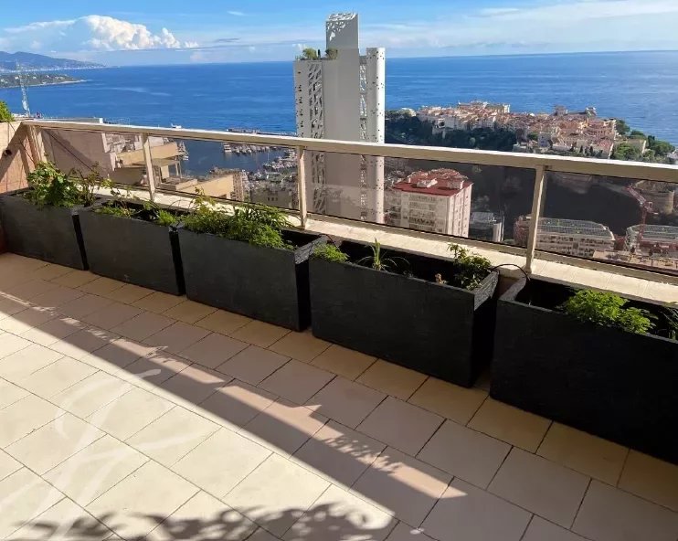 Apartment zum Kauf Provisionsfrei 11.000.000 € 5 Zimmer 220,7 m²<br/>Wohnfläche 12. Stock<br/>Geschoss Monaco 98000