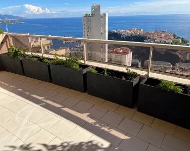 Apartment zum Kauf Provisionsfrei 11.000.000 € 5 Zimmer 220,7 m² 12. Geschoss Monaco 98000