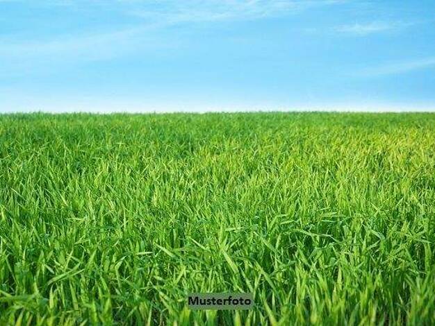 Land-/Forstwirtschaft zum Kauf 226.000 € 28.950 m² Grundstück Oberaufham Feldkirchen-Westerham 83620