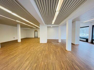 Büro-/Praxisfläche zur Miete Provisionsfrei 1.131,50 € 1 Zimmer 150,9 m² Bürofläche Galvanistr. 40 Hummelstein Nürnberg 90459