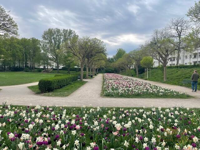 Köln-Zollstock - Helle, ruhige und dennoch zentral gelegene Wohnung am Park!