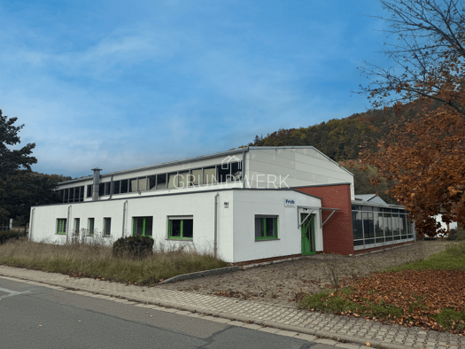 Halle/Industriefläche zum Kauf 300.000 € 499,3 m² Lagerfläche Berga 07980