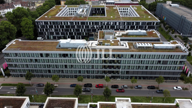 Bürofläche zur Miete 14 € 3.182 m² Bürofläche teilbar ab 793 m² Süd / Stadtbezirk 123 Ludwigshafen am Rhein 67061