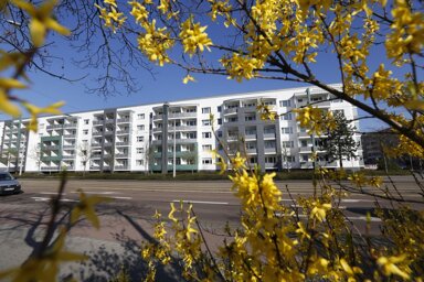 Wohnung zur Miete 290 € 1 Zimmer 28 m² 3. Geschoss frei ab 01.06.2025 Askanische Straße 76 Innerstädtischer Bereich Mitte 24 Dessau-Roßlau 06842