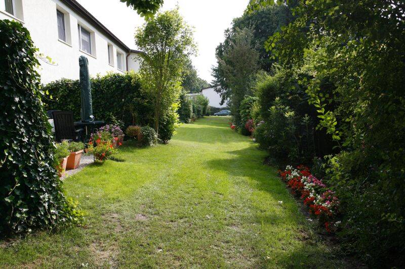 Wohnung zur Miete