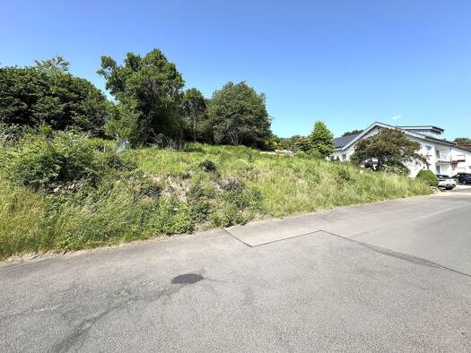 Grundstück zum Kauf 80.000 € 1.167 m² Grundstück Hilders 36115