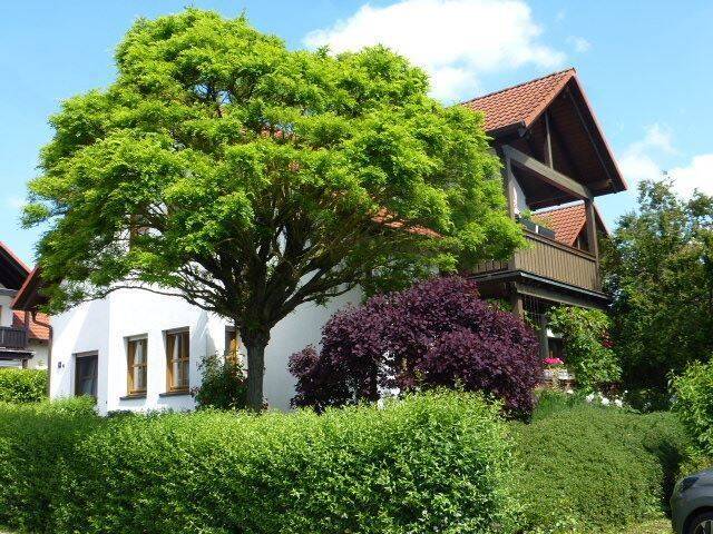 Idyllische Wohnung in ruhiger Wohnlage in Usingen Eschbach