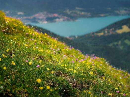 Wohnung zum Kauf provisionsfrei 1 Zimmer 25 m² EG Rottach Rottach-Egern 83700