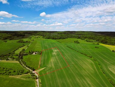 Landwirtschaftliche Fläche zum Kauf 38.700 € 22.136 m² Grundstück Sangerhausen Sangerhausen 06526