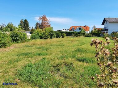 Grundstück zum Kauf 447.000 € 1.049 m² Grundstück Enzesfeld-Lindabrunn 2551