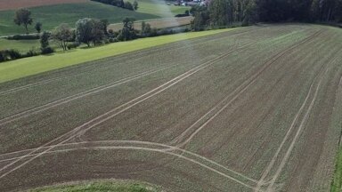 Landwirtschaftliche Fläche zum Kauf 330.500 € 19.441 m² Grundstück Haunwang Eching 84174