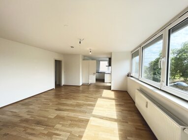 Wohnung zur Miete 1.144,10 € 3 Zimmer 87 m² 2. Geschoss Am Kaisermühlendamm 87 Wien 1220