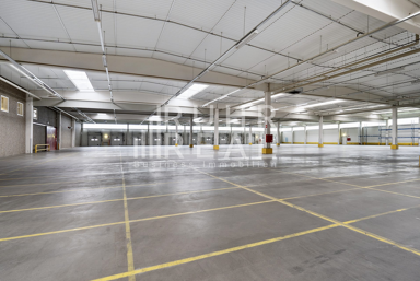 Halle/Industriefläche zur Miete 4.200 m² Lagerfläche teilbar ab 4.200 m² Gremberghoven Köln 51149