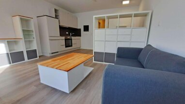 Wohnung zur Miete 450 € 1 Zimmer 34 m² EG Südinnenstadt Bochum 44789