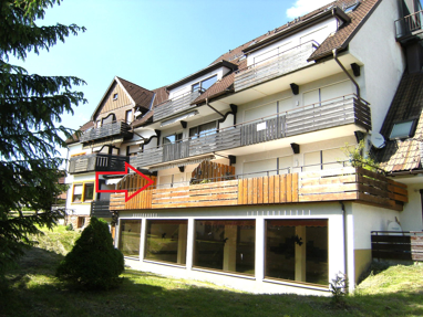 Apartment zum Kauf 85.000 € 2 Zimmer 49,1 m² 1. Geschoss Kniebis Freudenstadt 72250