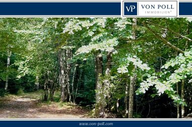 Forstwirtschaft zum Kauf 48.000 € 7.362 m² Grundstück Linden Freyung 94078