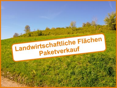 Land-/Forstwirtschaft zum Kauf 105.000 € 39.630 m² Grundstück Wohnsgehaig Mistelgau / Wohnsgehaig 95490