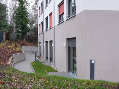 Terrassenwohnung zur Miete 377 € 1 Zimmer 31,4 m² Erdgeschoss Teplitzer Straße 12 Südvorstadt-Ost (Ackermannstr.) Dresden 01219