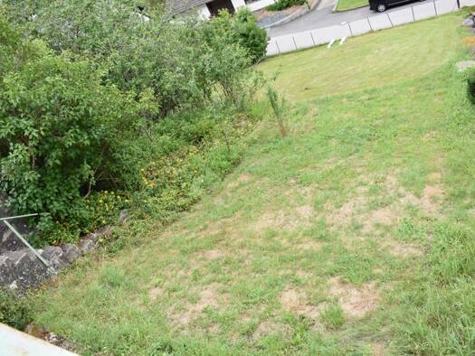 Grundstück zum Kauf 18.000 € 421 m² Grundstück Schönecken 54614