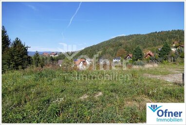 Grundstück zum Kauf 269.750 € 4.150 m² Grundstück Bärnbach 8572