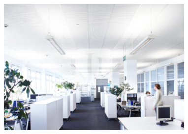 Bürofläche zur Miete 1.532 m² Bürofläche Glinde 21509