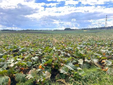 Landwirtschaftliche Fläche zum Kauf 4.617 m² 4.617 m² Grundstück Fischenich Hürth 50354