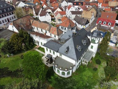 Villa zum Kauf 2.900.000 € 18 Zimmer 570 m² 5.355 m² Grundstück Rheinstraße 30 Bodenheim 55294