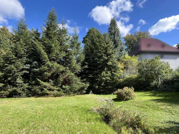 Grundstück zum Kauf 179.000 € 790 m² Grundstück frei ab sofort Radeberg 01454