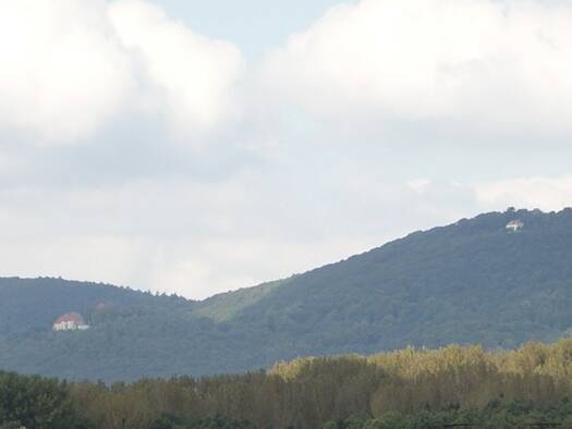 Einfamilienhaus zum Kauf 333.333 € 7 Zimmer 250 m² 847 m² Grundstück Hessisch Oldendorf 31840