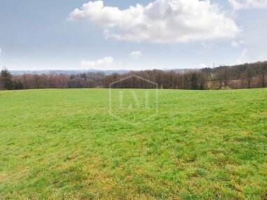 Landwirtschaftliche Fläche zum Kauf 168.000 € 45.851 m² Grundstück Wermelskirchen Wermelskirchen 42929