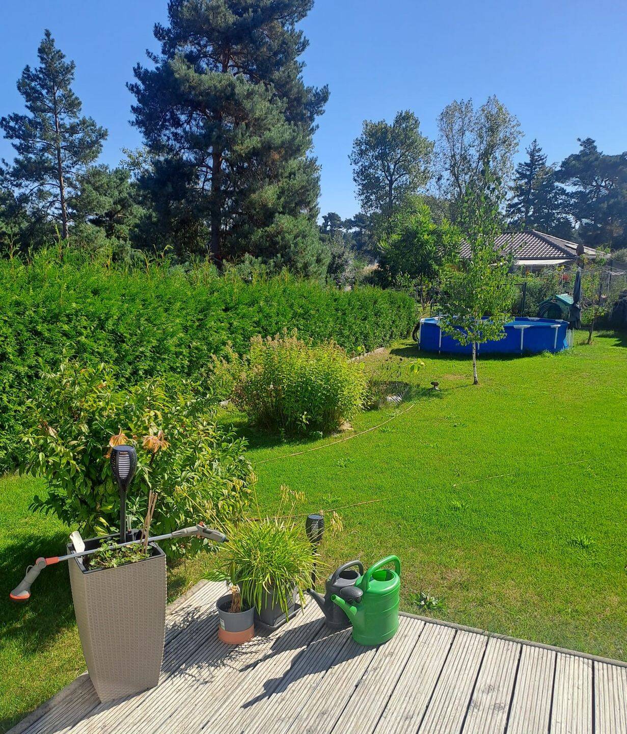 Immobilie in Am Mellensee - KfW Effizenzhaus 55 in Mellensee im Süden von Berlin - Bild 3