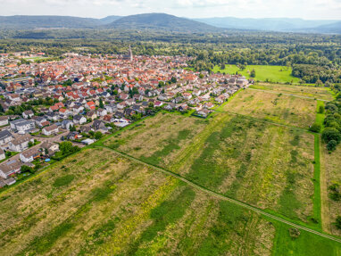 Grundstück zum Kauf 247.500 € 423 m² Grundstück Muggensturm 76461