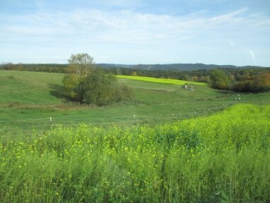 Landwirtschaftliche Fläche zum Kauf 305.170 € 30.517 m² Grundstück Neunburg Neunburg vorm Wald 92431
