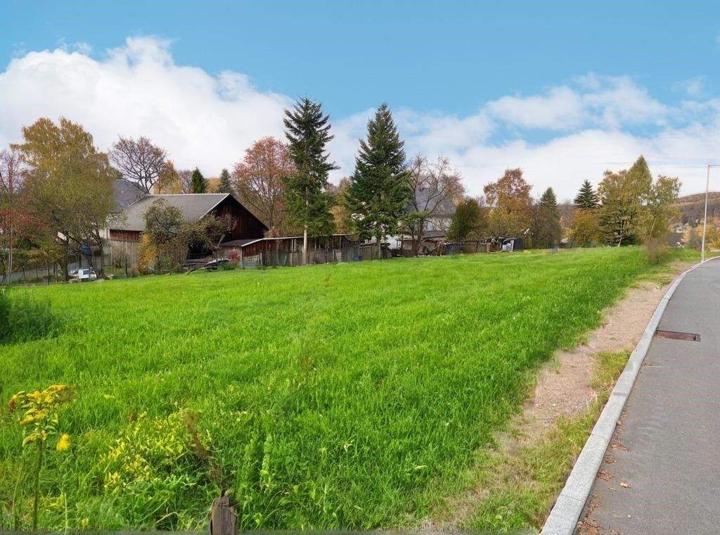 Immobilie in Schneeberg - Zwei moderne, neue Winkelbungalows als Doppelhaus mit klarem Preisvorteil - INKL. Grundstück - Bild 1