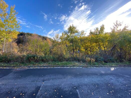 Grundstück zum Kauf 49.000 € 781 m² Grundstück Lohrhaupten Flörsbachtal 63639