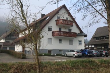 Mehrfamilienhaus zum Kauf 985.000 € 928 m² Grundstück Sulz Lahr 77933