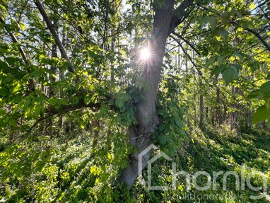 Land-/Forstwirtschaft zum Kauf 2.999 € 3.409 m² Grundstück Neuendorf Neundorf (Anhalt) 39418