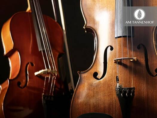 Wohnung zum Kauf - Erstbezug provisionsfrei 599.900 € 3 Zimmer 95,8 m² Innenstadt Baden-Baden 76530