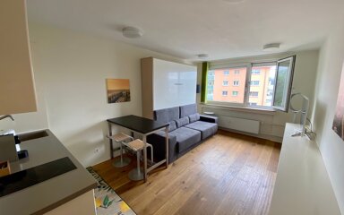 Wohnung zur Miete Wohnen auf Zeit 1.450 € 1 Zimmer 27 m² frei ab 31.07.2025 Danneckerstraße 0 Dobel Stuttgart Zentrum 70182