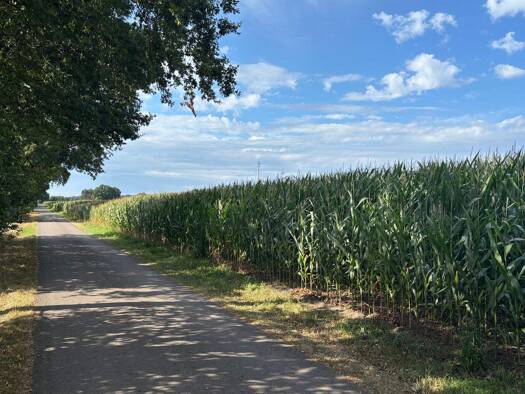 Landwirtschaftliche Fläche zum Kauf 320.000 m² Grundstück Höfen Uchte 31600