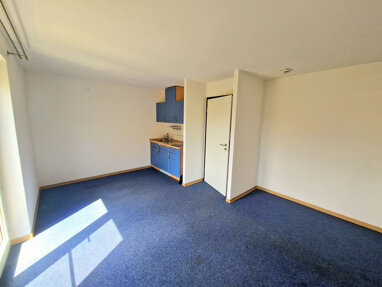 Wohnung zur Miete 260 € 1 Zimmer 32 m² Handorf Peine 31226