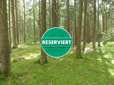 Land-/Forstwirtschaft zum Kauf 99.000 € 22.748 m² Grundstück Pilsach Pilsach / Litzlohe 92367