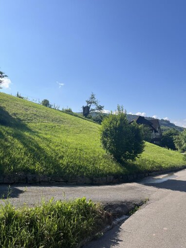 Grundstück zum Kauf 245.000 € 1.200 m² Grundstück Tiergarten Oberkirch-Ringelbach 77704